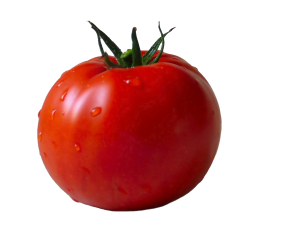 Tomato PNG-12533